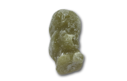 Squishy best sale jelly babies